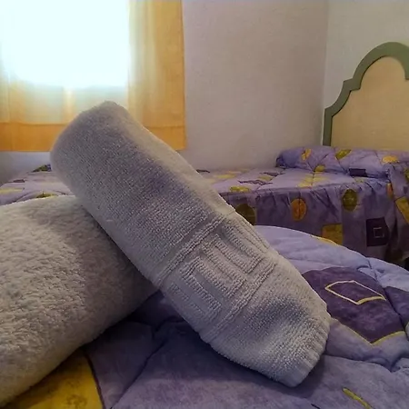 公寓 Son Bou Bonito Y Renovado 阿莱奥尔